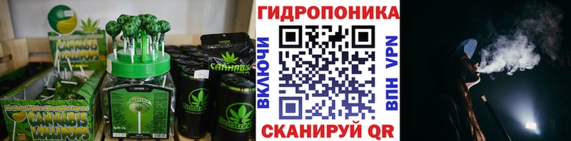 МЕГА как войти  Шлиссельбург  Cannafood марихуана 
