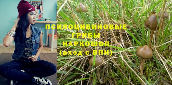 первитин Абинск