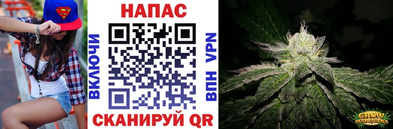 Шишки марихуана VHQ Шлиссельбург